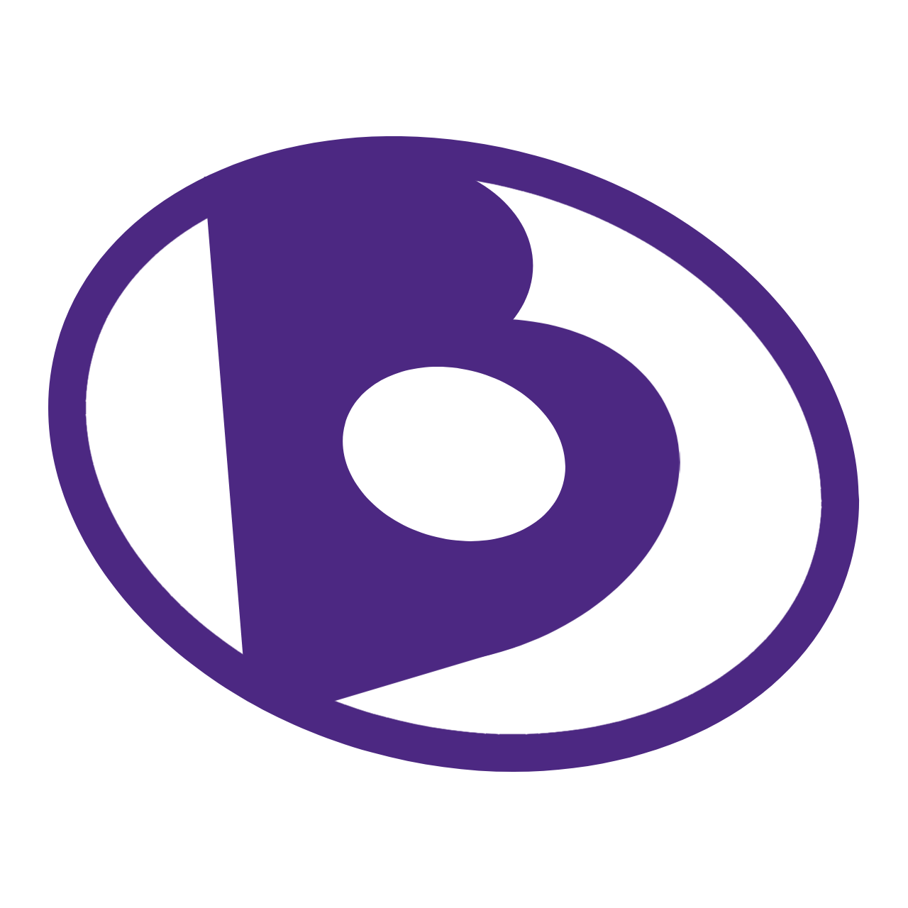 spinningthebsides.com